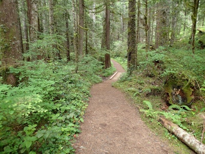 Hike the Heart O' the Forest Trail, Heart Of The Hills Campground