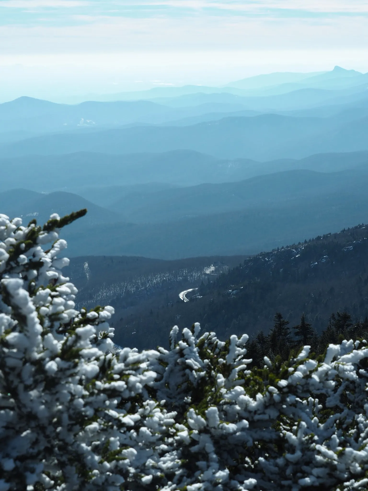 Profile Trail to Calloway Peak