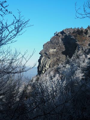 Profile Trail to Calloway Peak