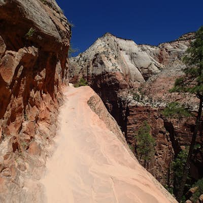 Hidden Canyon Trail