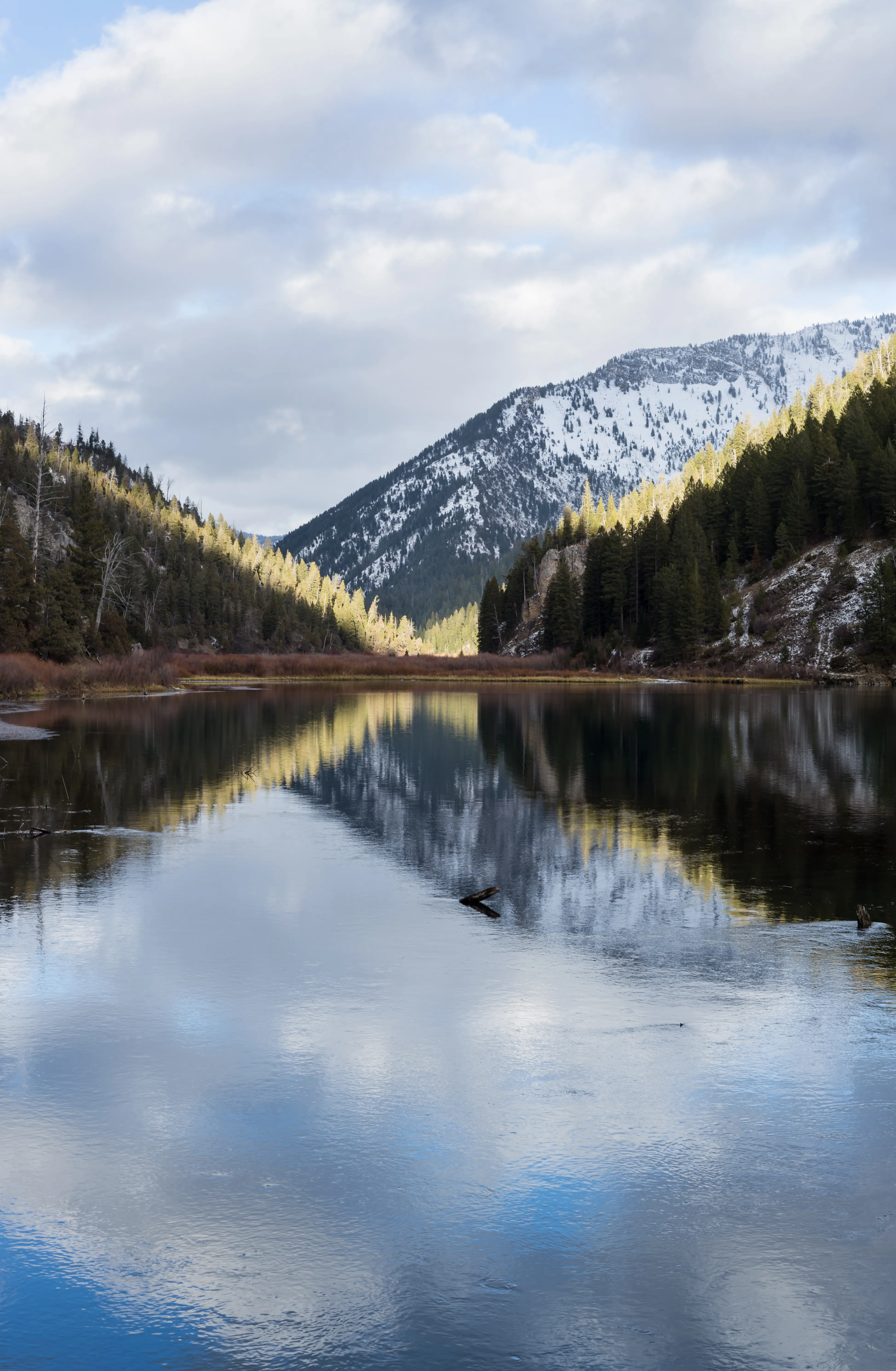 Hike along Palisades Creek