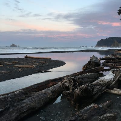 Strawberry Point on the Olympic Coast