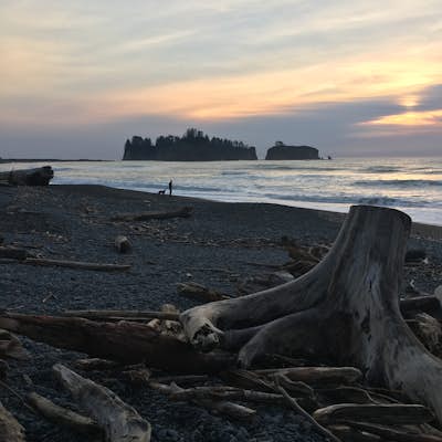 Strawberry Point on the Olympic Coast