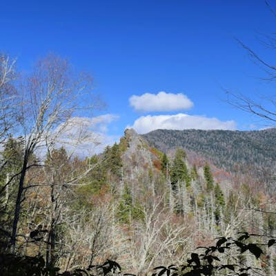 Hike the Chimney Tops