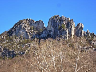 Seneca Rocks Trail