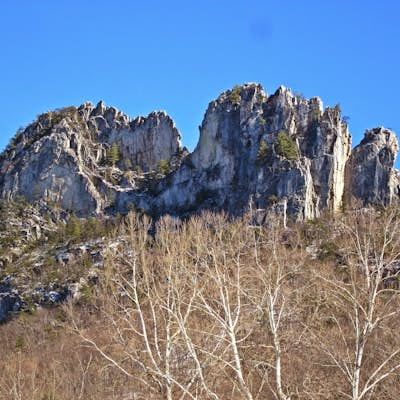 Seneca Rocks Trail