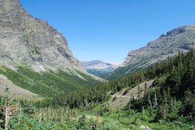 Hike to Cracker Lake, Many Glacier