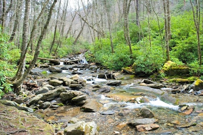 Hike to Mt. LeConte via Alum Cave Bluff, Alum Cave Trailhead