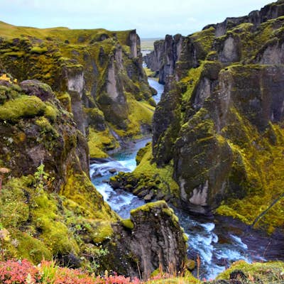Explore Fjaðrárgljúfur Canyon