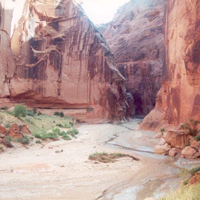 Hike through Paria Canyon