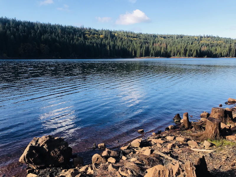 Photo of Explore Sugar Pine Reservoir