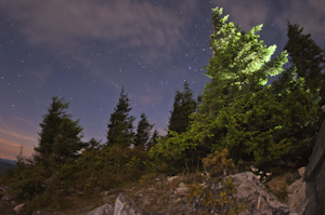 Spruce Knob Observation Tower