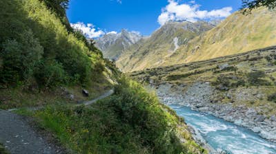 Hike to the Rob Roy Glacier