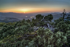 Culling Biodiversity in Cascade-Siskiyou Benefits Nobody