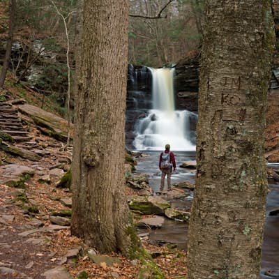 Hike the Falls Trails in Ricketts Glen State Park