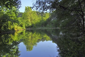 Hike the Lower Bull Creek Greenbelt Trail