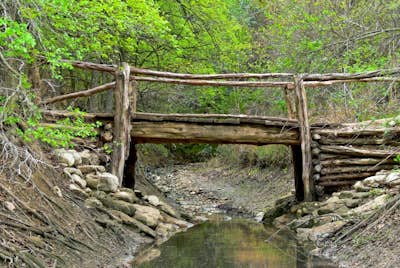 Hike the Lower Bull Creek Greenbelt Trail