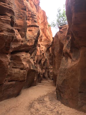 Hike to Buckskin Gulch slot canyon