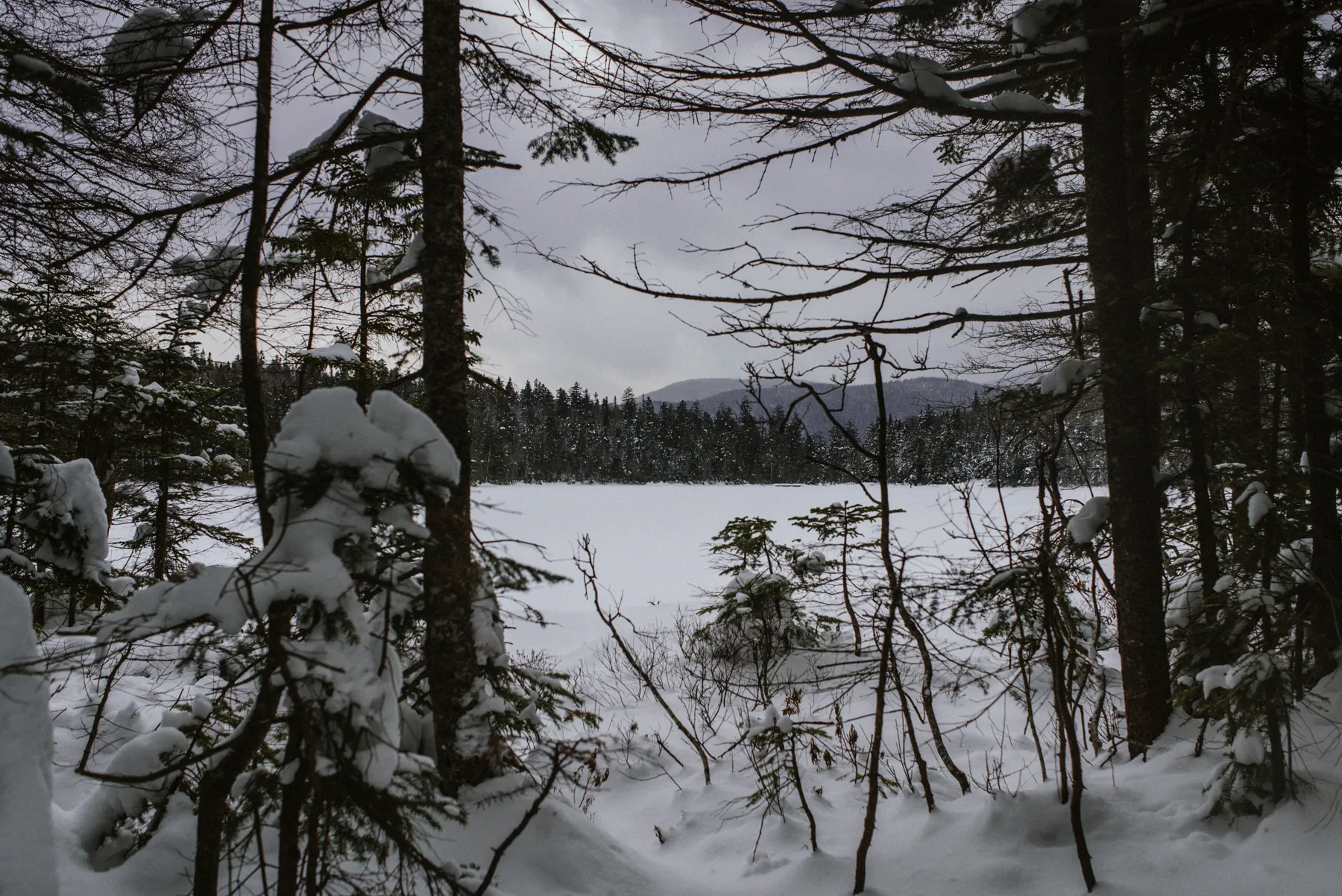 Snowshoe to Lonesome Lake