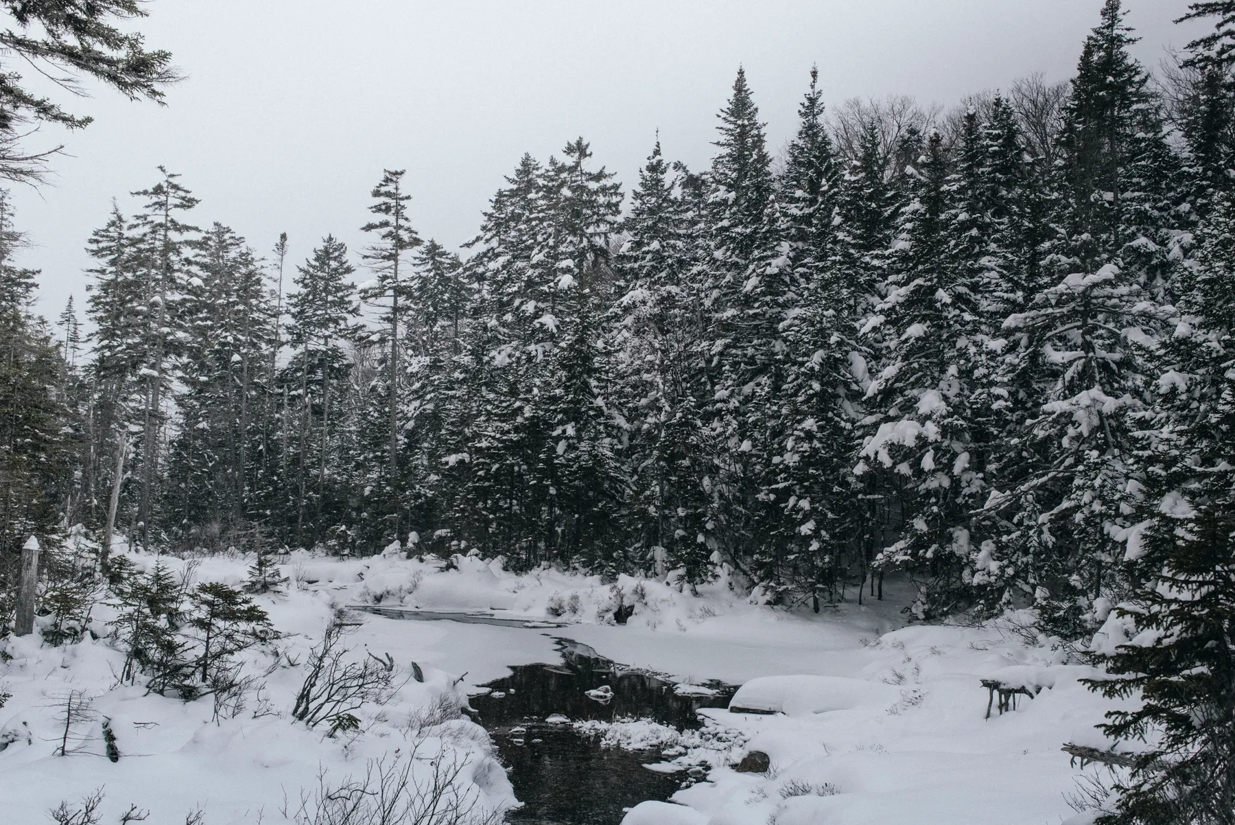 Snowshoe to Lonesome Lake