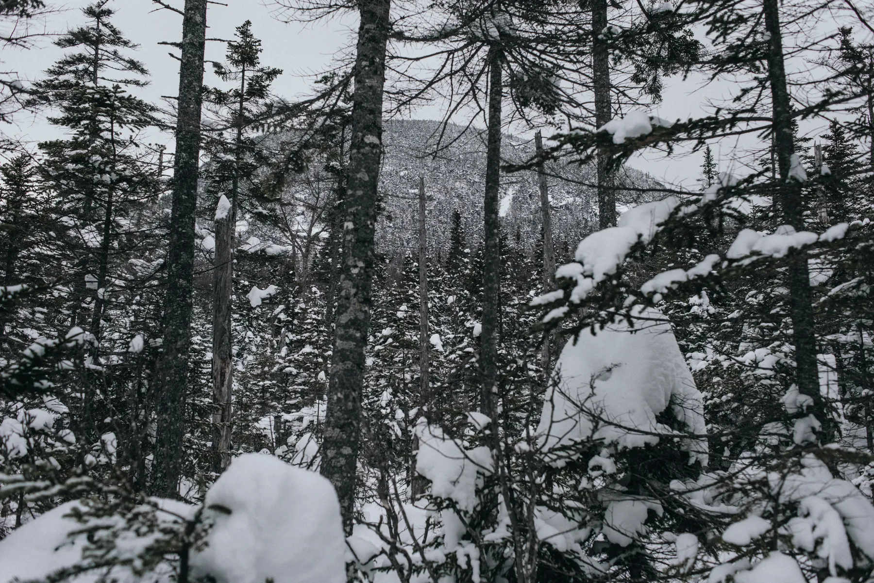 Snowshoe to Lonesome Lake