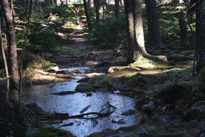 Hike the North & South Peaks of Pack Monadnock