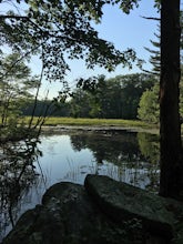 Hike the Fort Wildlife Refuge