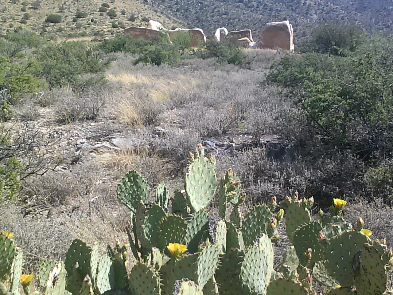 Hike to the Ruins of Fort Bowie