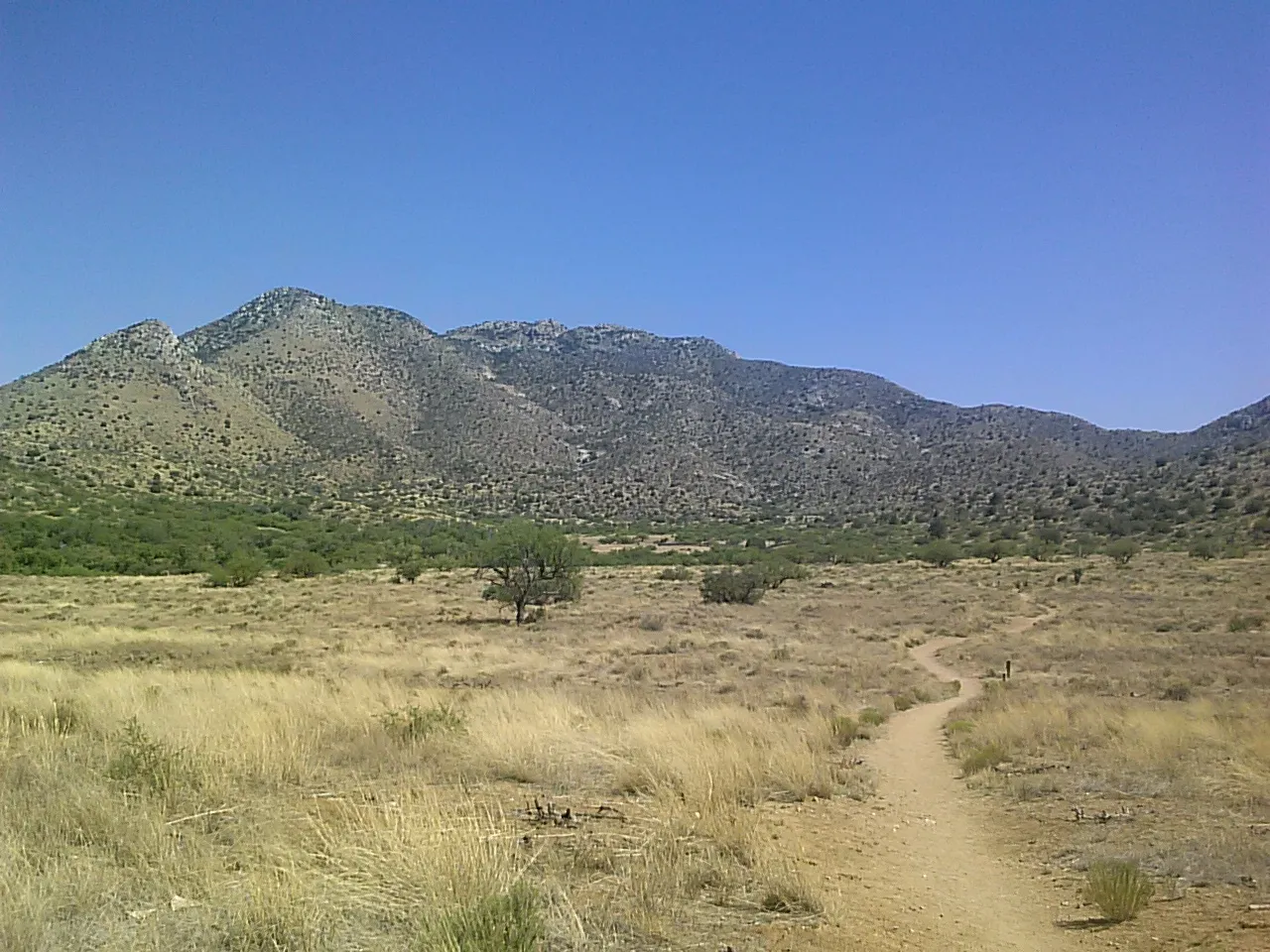 Hike to the Ruins of Fort Bowie
