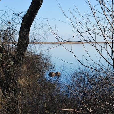 Hike the Osprey Point Loop on Trustom Pond