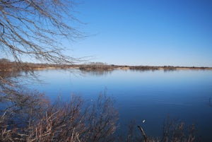 Hike the Osprey Point Loop on Trustom Pond