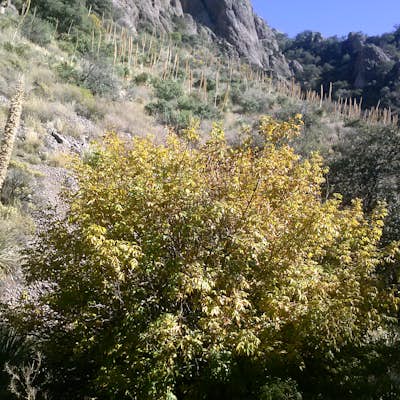 Hike in Soledad Canyon.