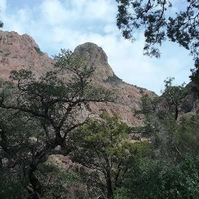 Hike the Dripping Springs Natural area