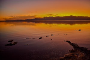 Camp at the Salton Sea