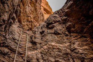 Hike Ladder Canyon in Mecca Hills