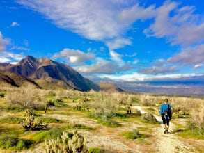 Hike to Maidenhair Falls via Hellhole Canyon in Anza Borrego Desert State Park