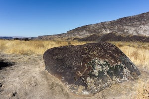 Hike Swan Falls and Wees Bar Petroglyphs
