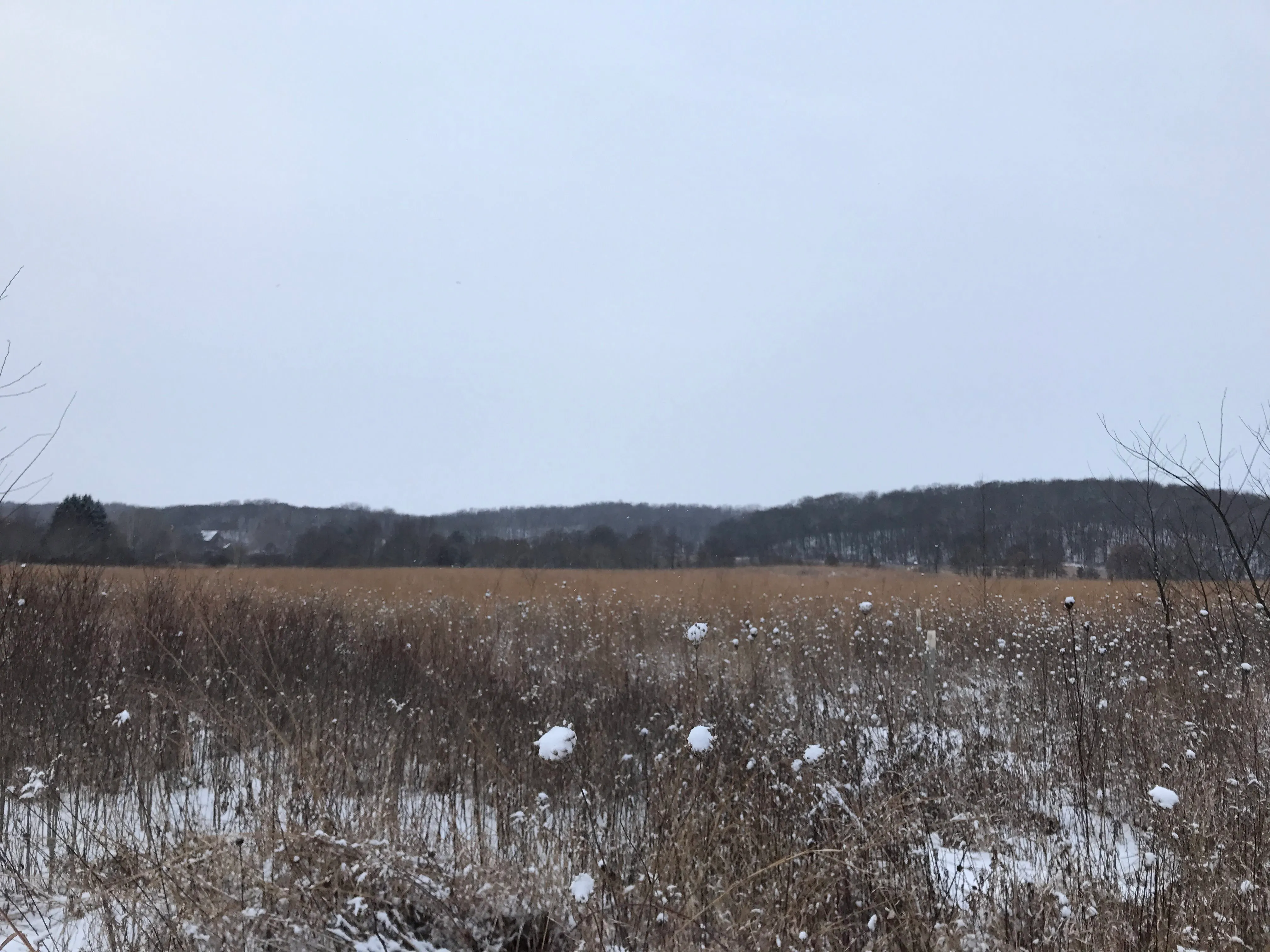 Hike the Hoffman Hills Outer Loop