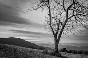 Photograph Spilter Knoll Overlook