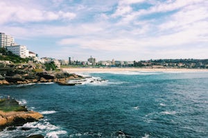 Hike the Bondi to Coogee Beach Coastal Walk