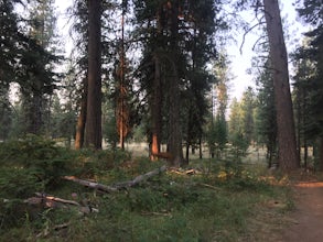 Mountain Bike the Huckleberry Bay Loop