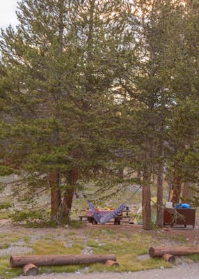 Junction Campground, Mono County 
