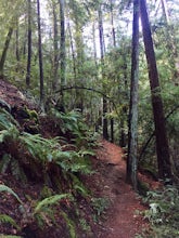 Dawn Falls Trail