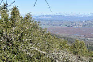 Hike Mount Burdell 