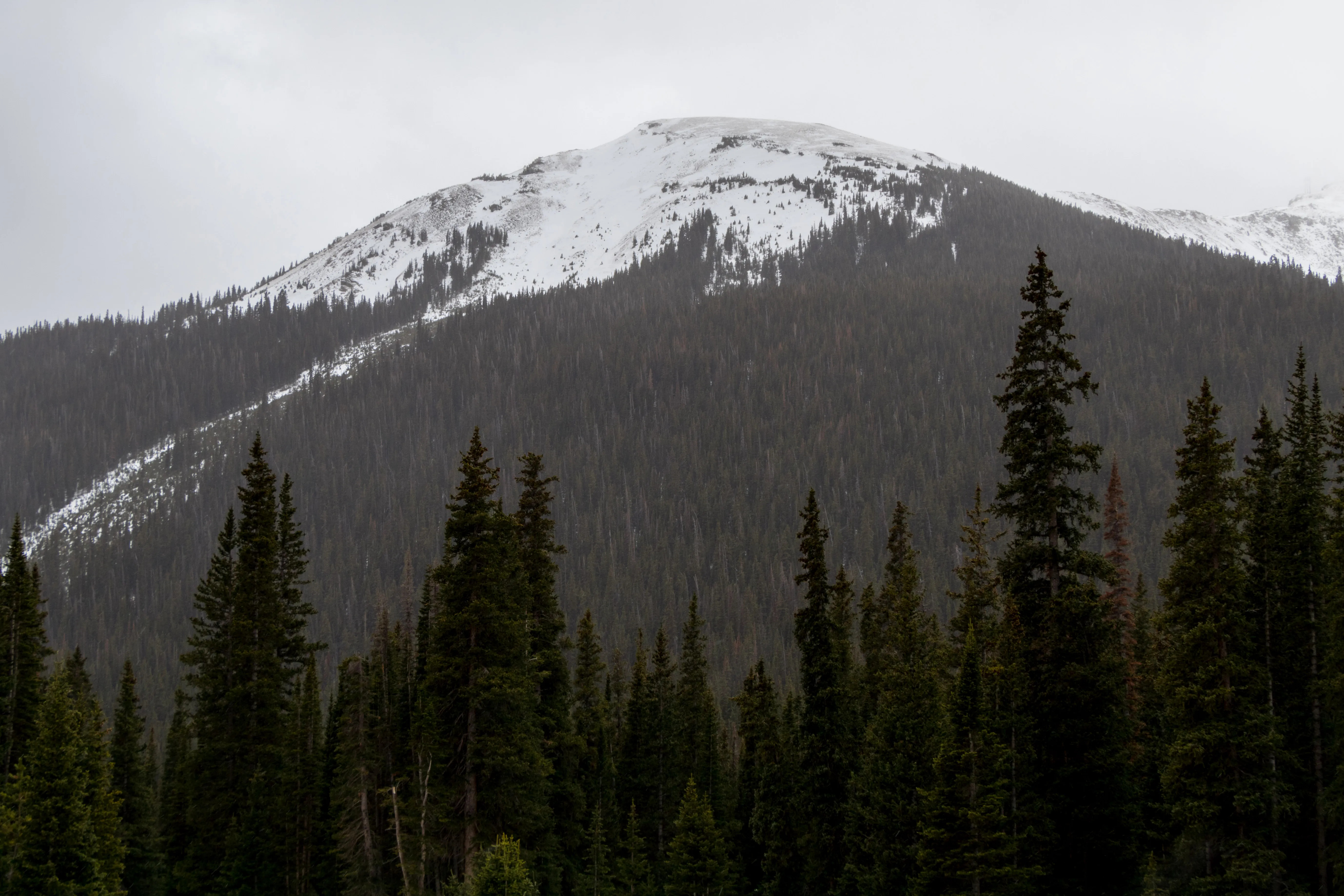 Camp at Jones Pass
