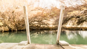 Soak in The Frog Pond Warm Spring