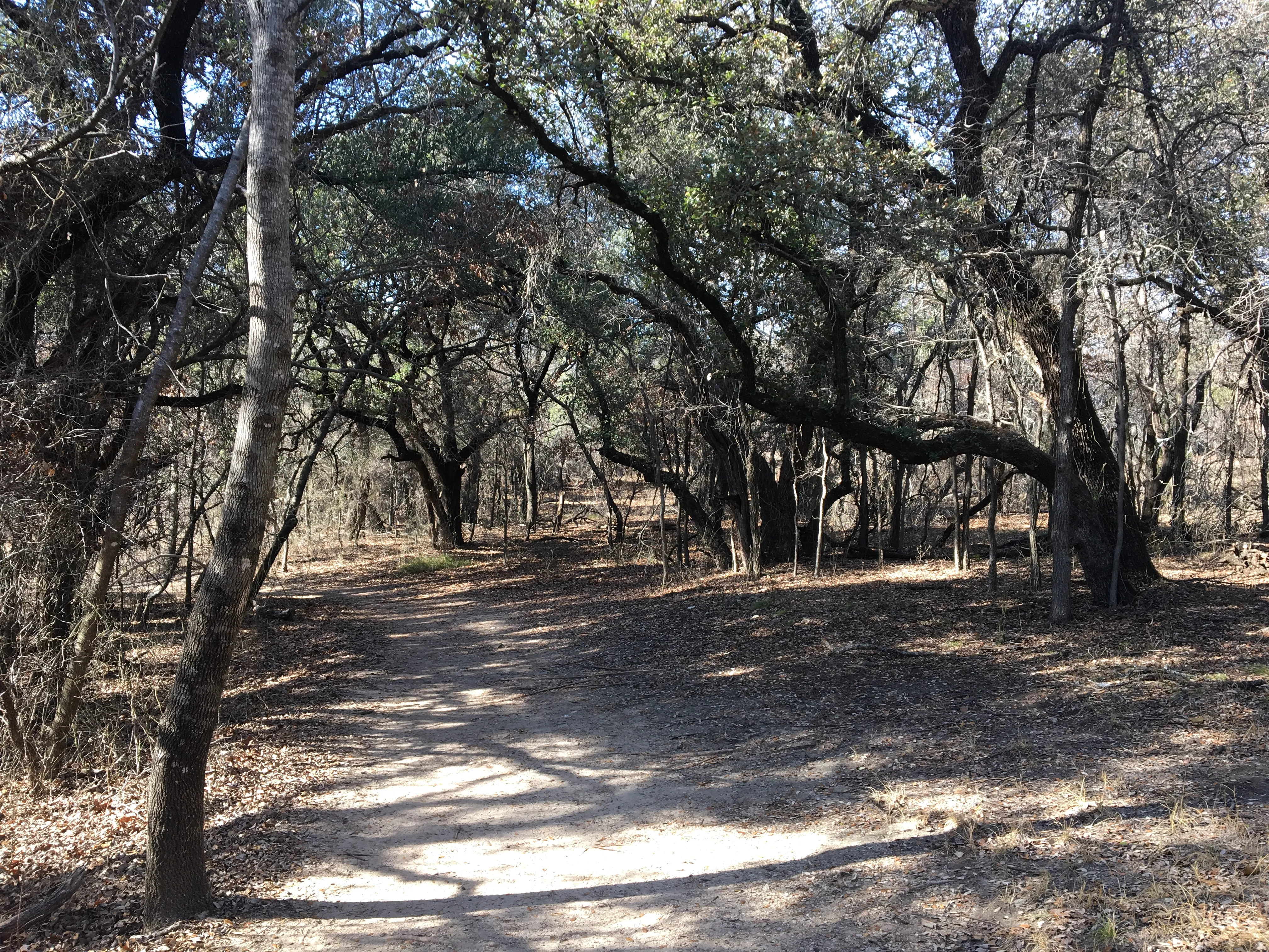 Hike Eagle Mountain Park