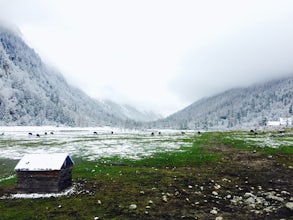 Snowfall Among Giants in Tibetan China