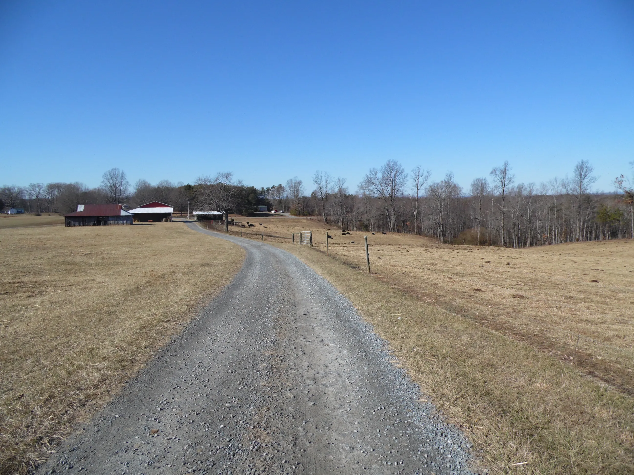Hike the Sauratown Trail