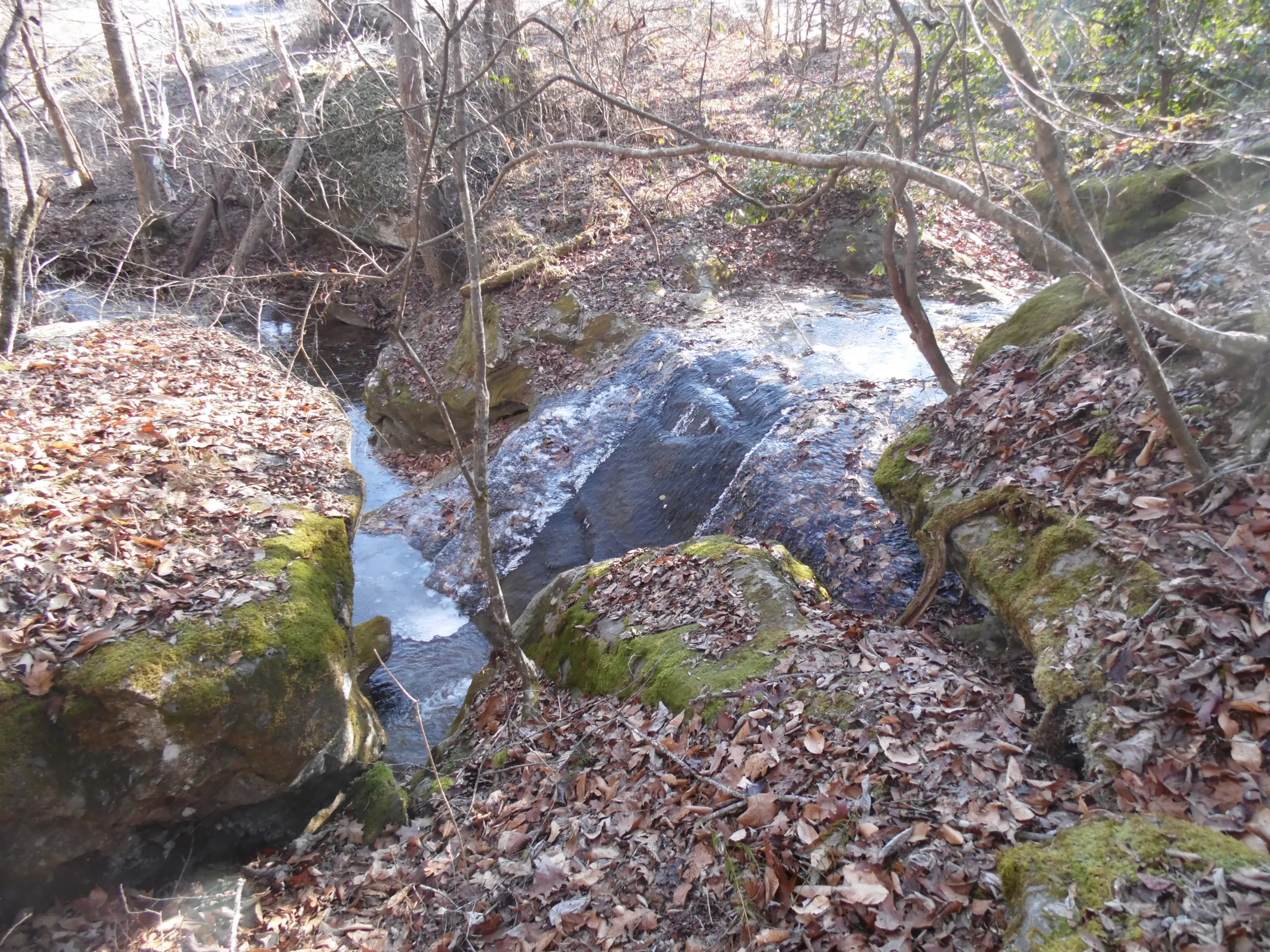 Hike the Sauratown Trail